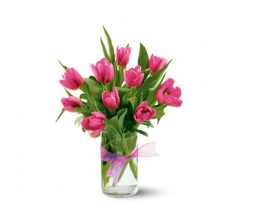 Spring Tulips - Hot Pink